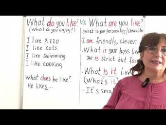 Как ответить на "What do you like?"и  "What are you like?"
