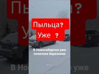 Берегите астматиков и аллергиков в Новосибирске повышен уровень пыльцы. Кстати, пыльца на 
