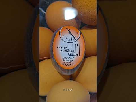 Таймер меняет цвет по готовности яиц! Даже муж заинтересован! https://ozon.ru/product/2878152737 Таймер меняет цвет по готовности яиц! Даже муж заинтересован! https://ozon.ru/product/2878152737