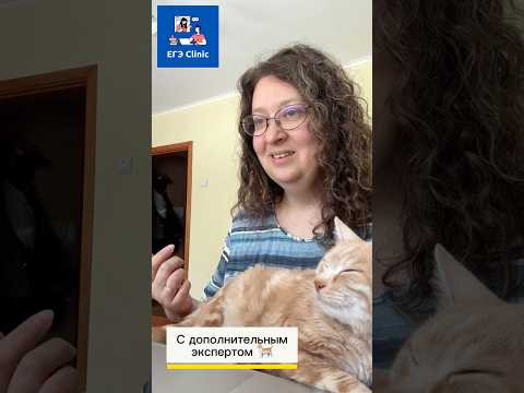 Запись в группы подготовки к ЕГЭ с экспертами https://ekaterinashadrova.ru/group