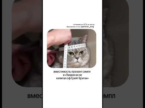 Готовимся к ЕГЭ бесплатно в тгк: spencer_eng 