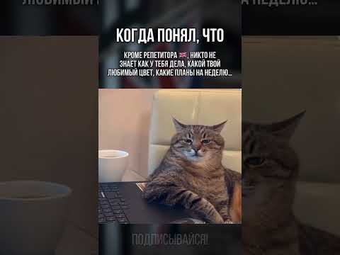 Когда репетитор &ndash; твой настоящий друг 