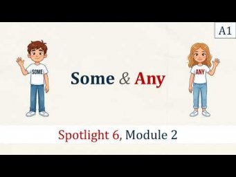SOME & ANY - видеоурок по SPOTLIGHT 6, Module 2