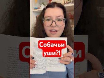 Причем тут собаки? 
