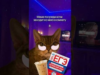 ПОВ: чем я занимаюсь ночью?! Мем с котиком #английский #егэ #мем