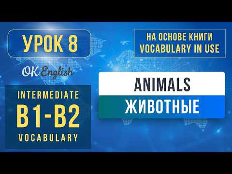 Unit 8 Animals, Insects | English Vocabulary in Use Pre-Intermediate (B1)