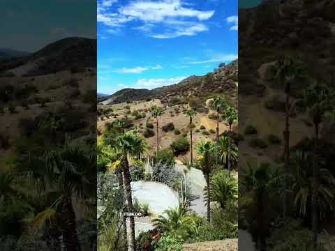 Путь к знаменитым буквам - HOLLYWOOD 