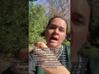 Почему так сложно подружиться с англичанами?