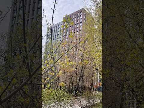Жилой комплекс. Басманный район. Новостройка ЦАО. Жилой комплекс. Басманный район. Новостройка ЦАО.