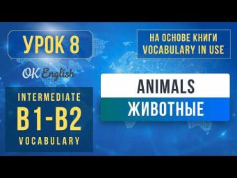 Unit 8 Animals, Insects | English Vocabulary in Use Pre-Intermediate (B1)